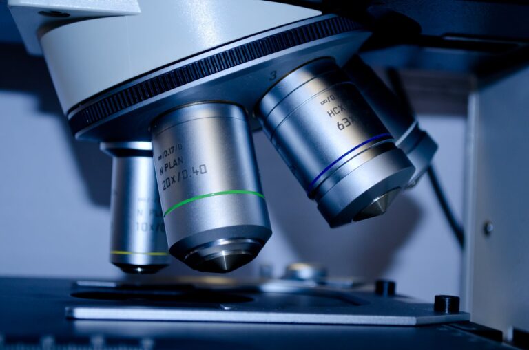 Taking A Leap of Faith From Cancer Biology to AI