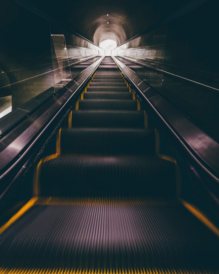 Stepping out of my comfort zone and into the world of AI