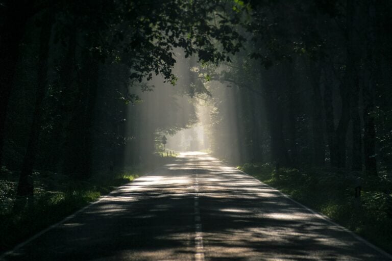 Carving Out a New Career Path with AIAP
